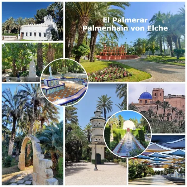Palmenhain von Elche
