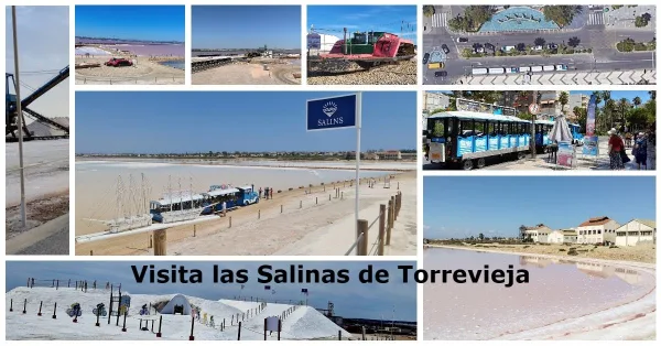 Salinas de Torrevieja