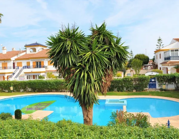 Pool mit Palme im Vordergrund und weißen Reihenhäusern im Hintergrund